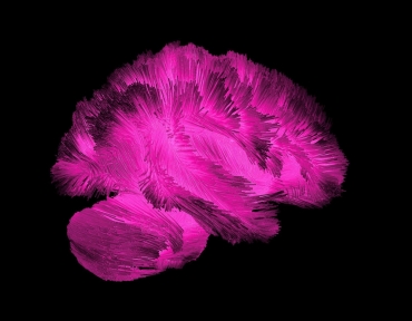 Traumatic Brain Injury