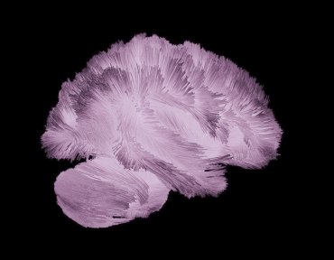 Neurogenetics